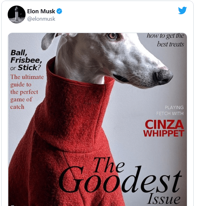 Elon Musk Doge Magazine - Blackwell Global