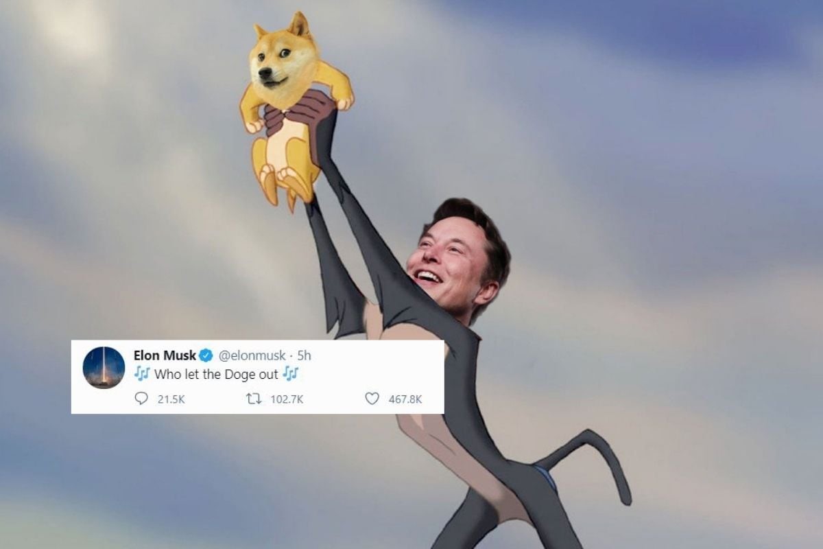 Elon Musk Doge Meme - Blackwell Global - Forex Broker